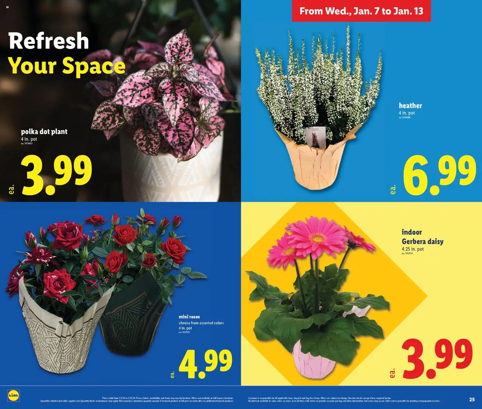 Lidl Weekly Ad - valid from 07.01.2026 | Page: 13