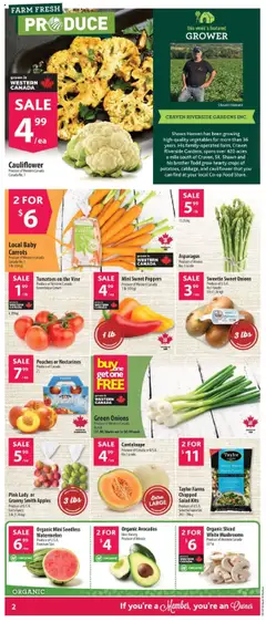 Co-op Food flyer valid from 14.08.2025 | Page: 3