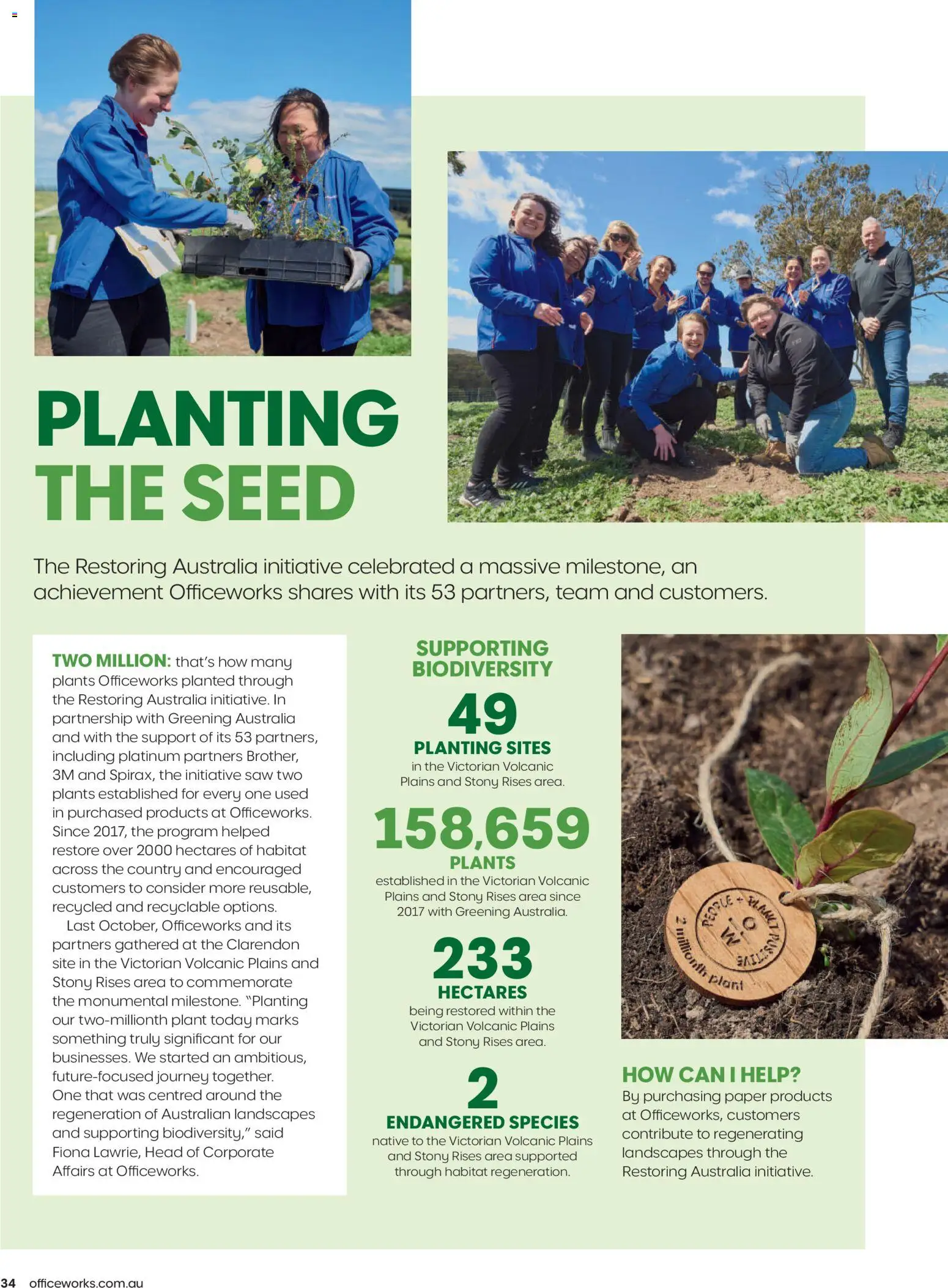 Officeworks catalogue - valid from 01.01.2026 | Page: 34 | Products: Native, Plant, Saw