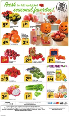 Preview of Food Lion weekly ads valid from 15.10.2025 | Page: 15 | Products: Cider, Apples, Strawberries, Grapes