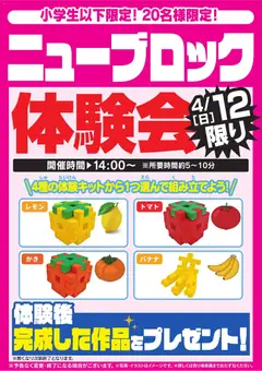 11.04.2026から有効なオファーを含む ヤマダ 電機 - ニューブロック体験会 4/12限り