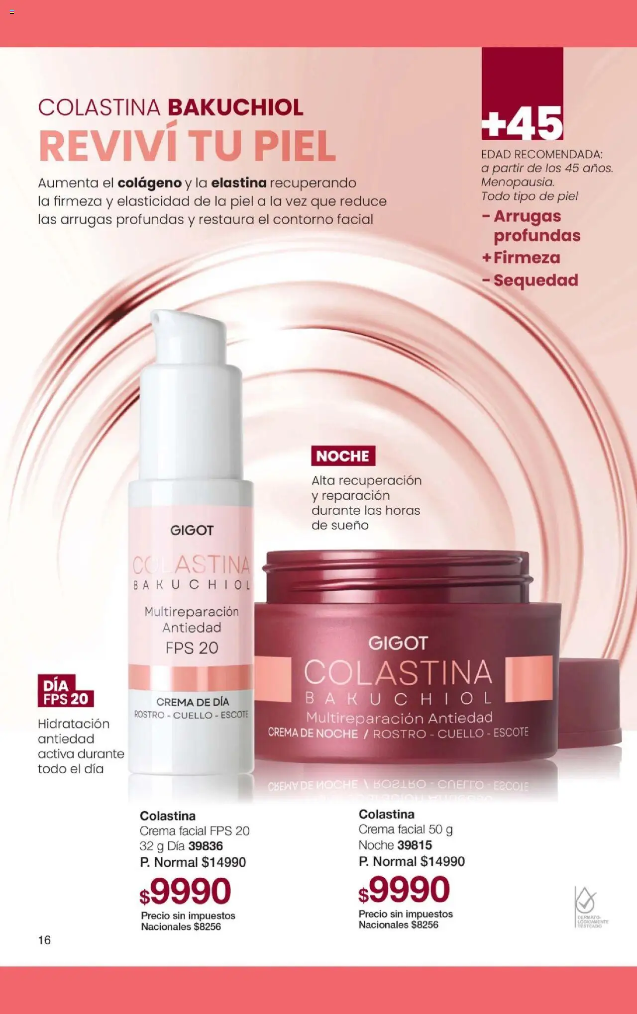 Gigot catálogo │ válido desde el 01.10.2025 | Página: 22 | Productos: Contorno, Crema