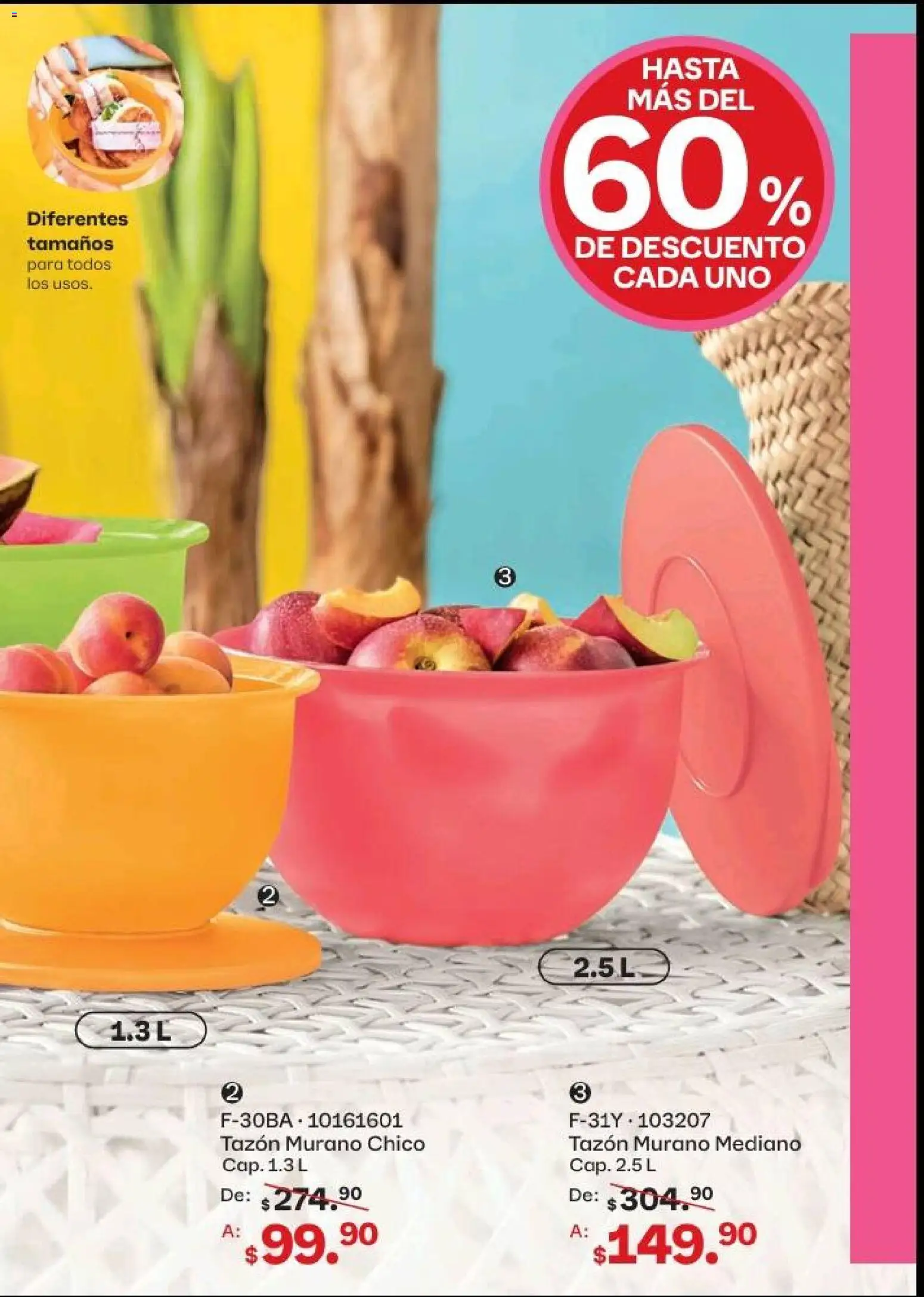 Nuevas ofertas de Tupperware válidas en toda la República Mexicana desde el 20.04.2026. ¡Encuentra las mejores ofertas en Tupperware catálogo! | Página: 21