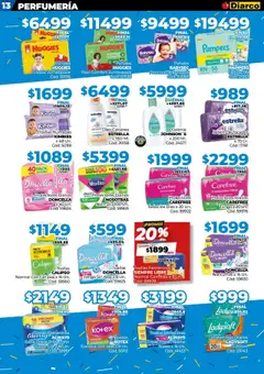 Diarco ofertas │ válido desde el 18.08.2025 | Página: 13