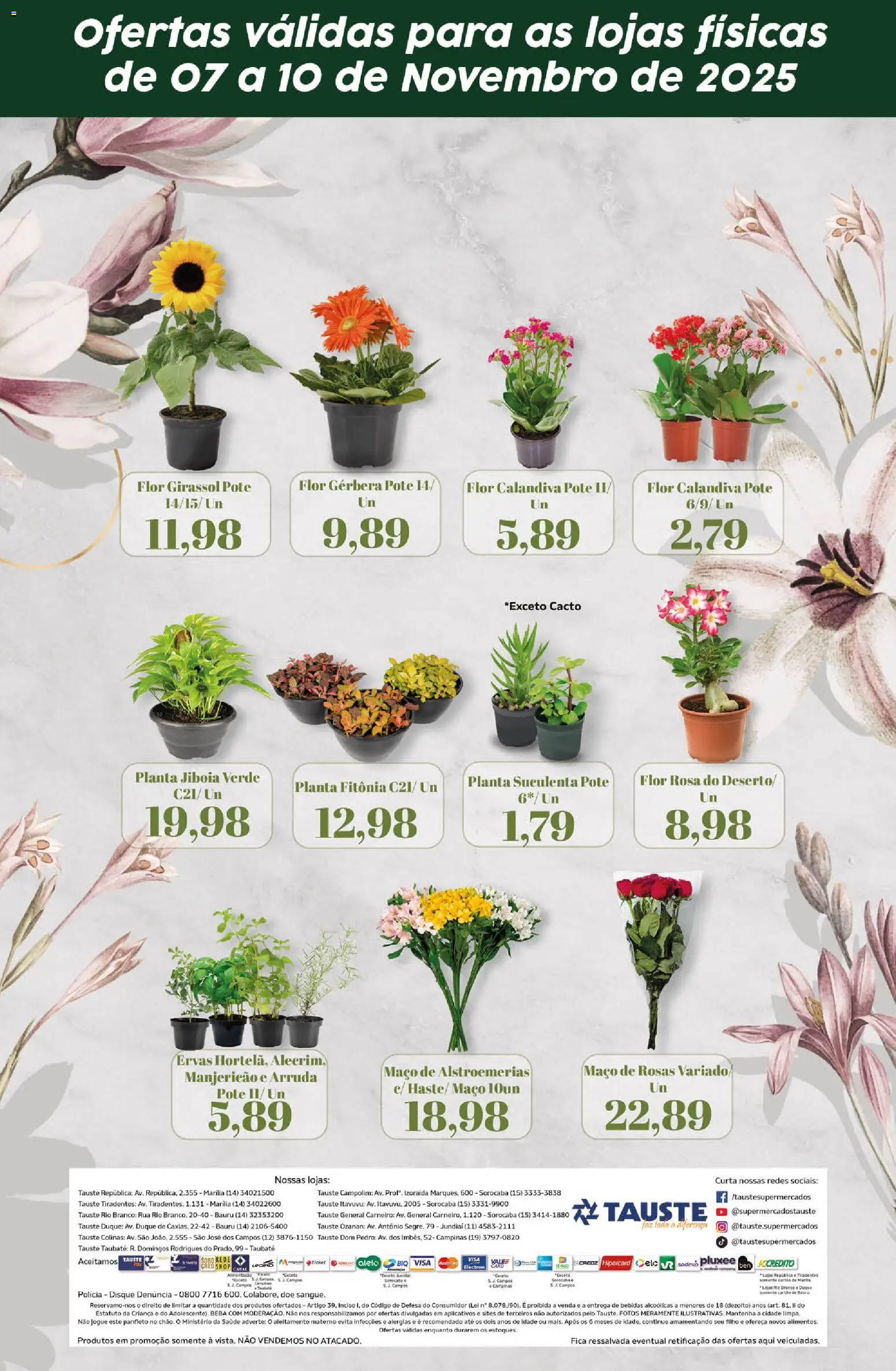 Tauste Folheto - válido de 07.11.2025 | Página: 2 | Produtos: Manjericão