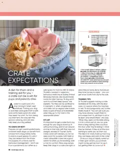 Preview of Catalogue Bunnings Warehouse October - valid from 01.10.2025 | Page: 80