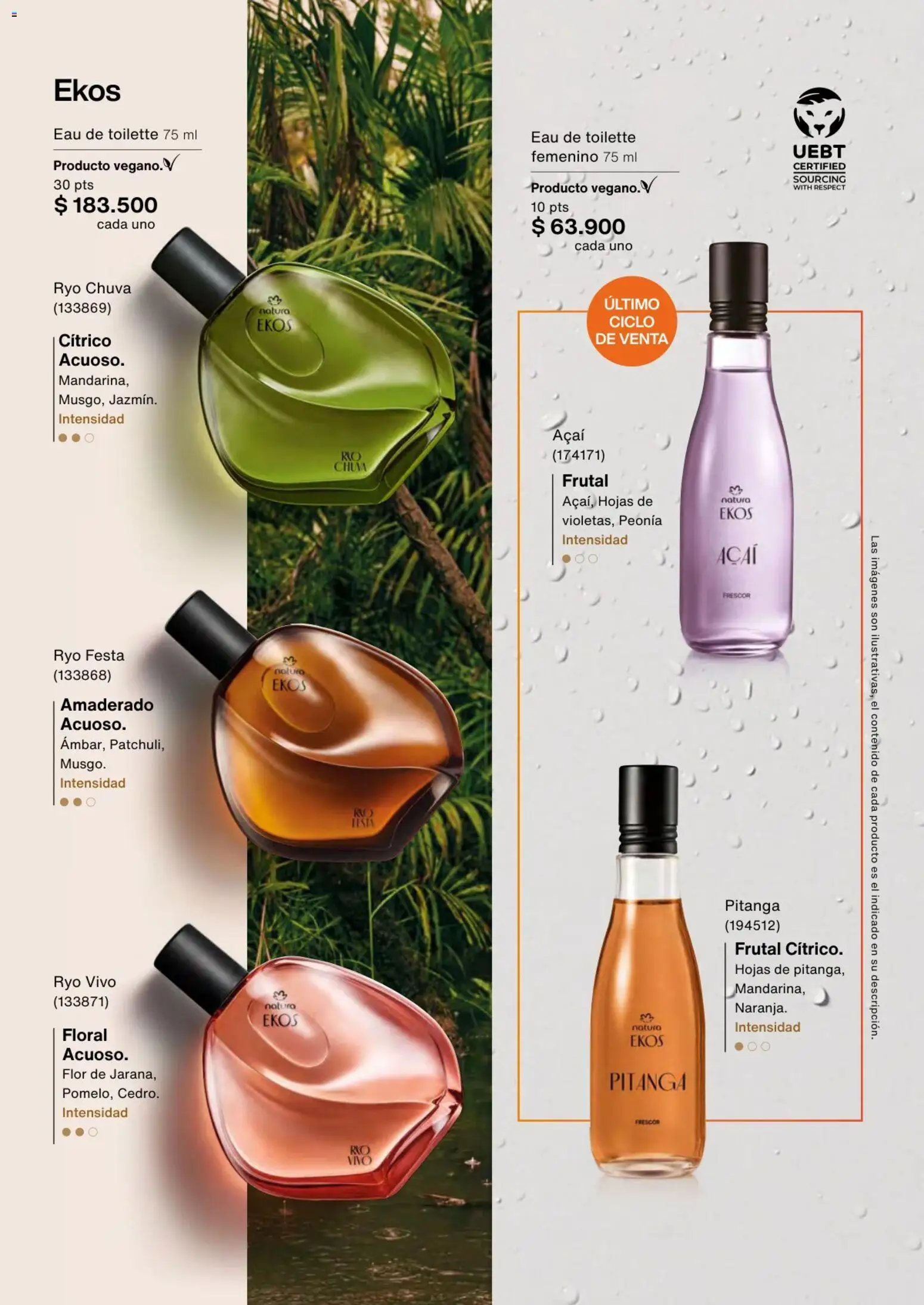 Natura revista - valida desde el 01.03.2026 | Página: 31 | Productos: Eau de toilette