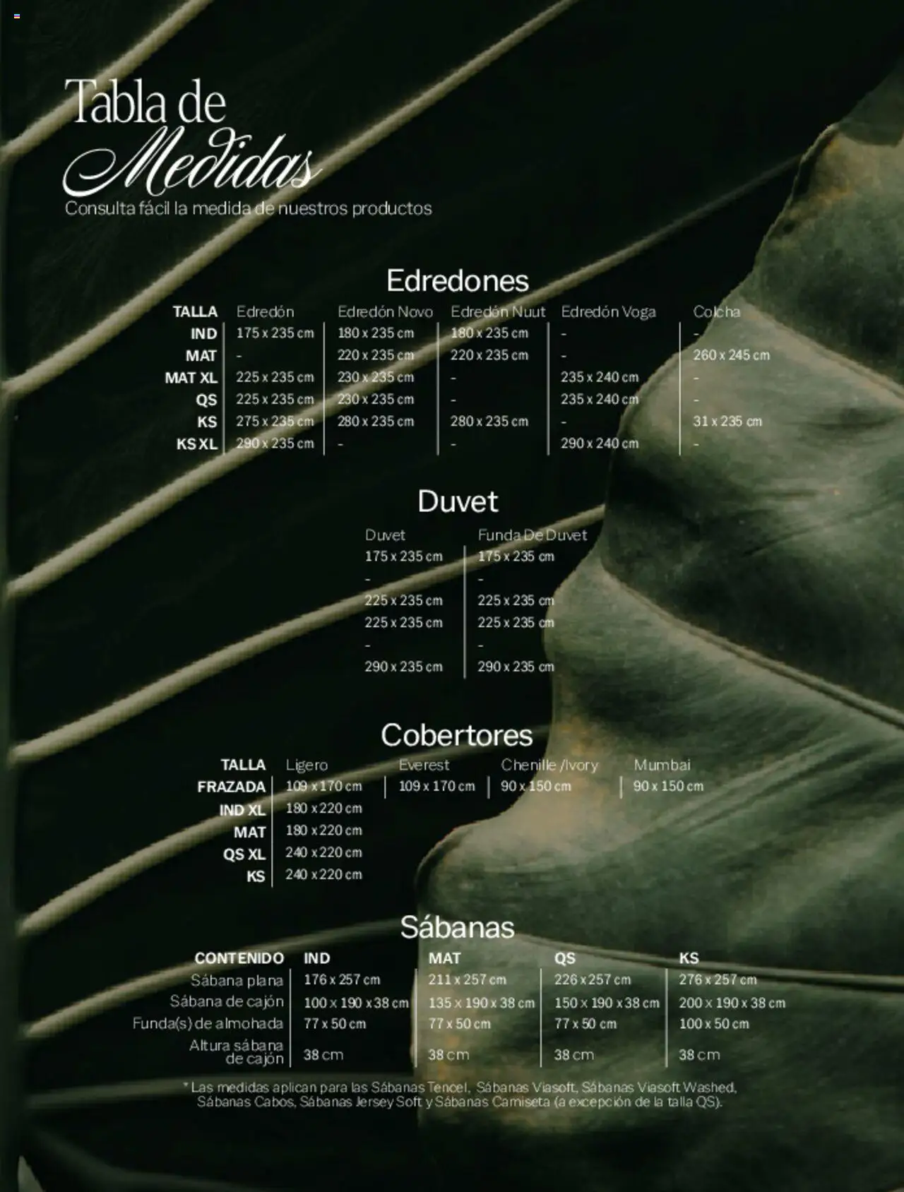 Nuevas ofertas de Vianney válidas en toda la República Mexicana desde el 07.03.2025. ¡Encuentra las mejores ofertas en Vianney catálogo Primavera! | Página: 262 | Productos: Funda, Almohada, Sabanas, Camiseta