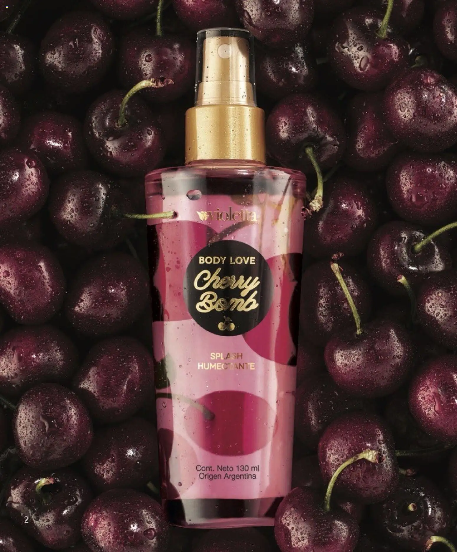 Violetta catálogo │ válido desde el 01.02.2026 | Página: 2 | Productos: Body