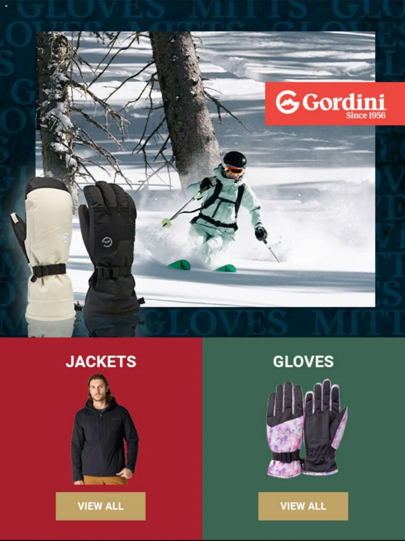 Dunham's Sports Holiday Gift Guide - valid from 06.11.2025 | Page: 25 | Products: Gloves