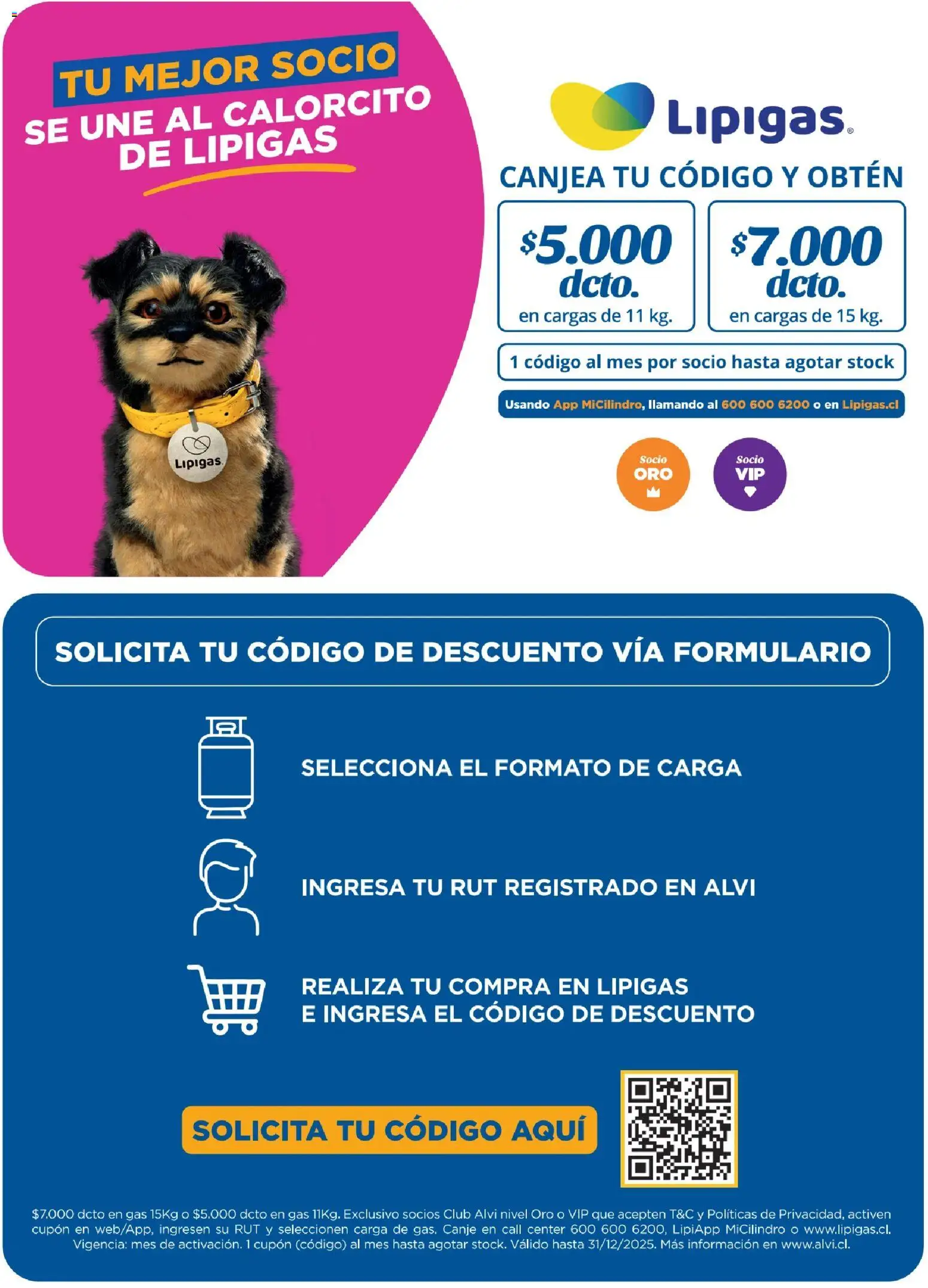 Alvi catálogo │ válido desde el 04.11.2025 | Página: 14