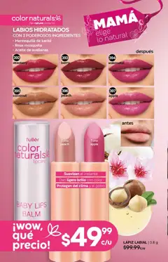 Vista previa de Fuller campaña 26 2026, nuevo folleto de la tienda, válido en México a partir del 01.04.2026 | Página: 136