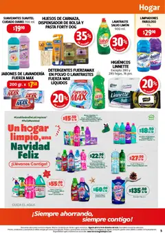 Vista previa de Farmacia Guadalajara catálogo, nuevo folleto de la tienda, válido en México a partir del 01.12.2025 | Página: 5 | Productos: Pollo, Pasta, Limpiador, Polvo