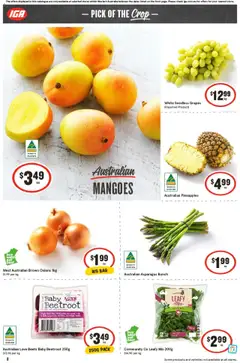 Preview of IGA Catalogue WA - valid from 22.10.2025 | Page: 11
