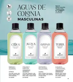 Millanel catálogo │ válido desde el 21.07.2025 | Página: 41 | Productos: Lima, Agua