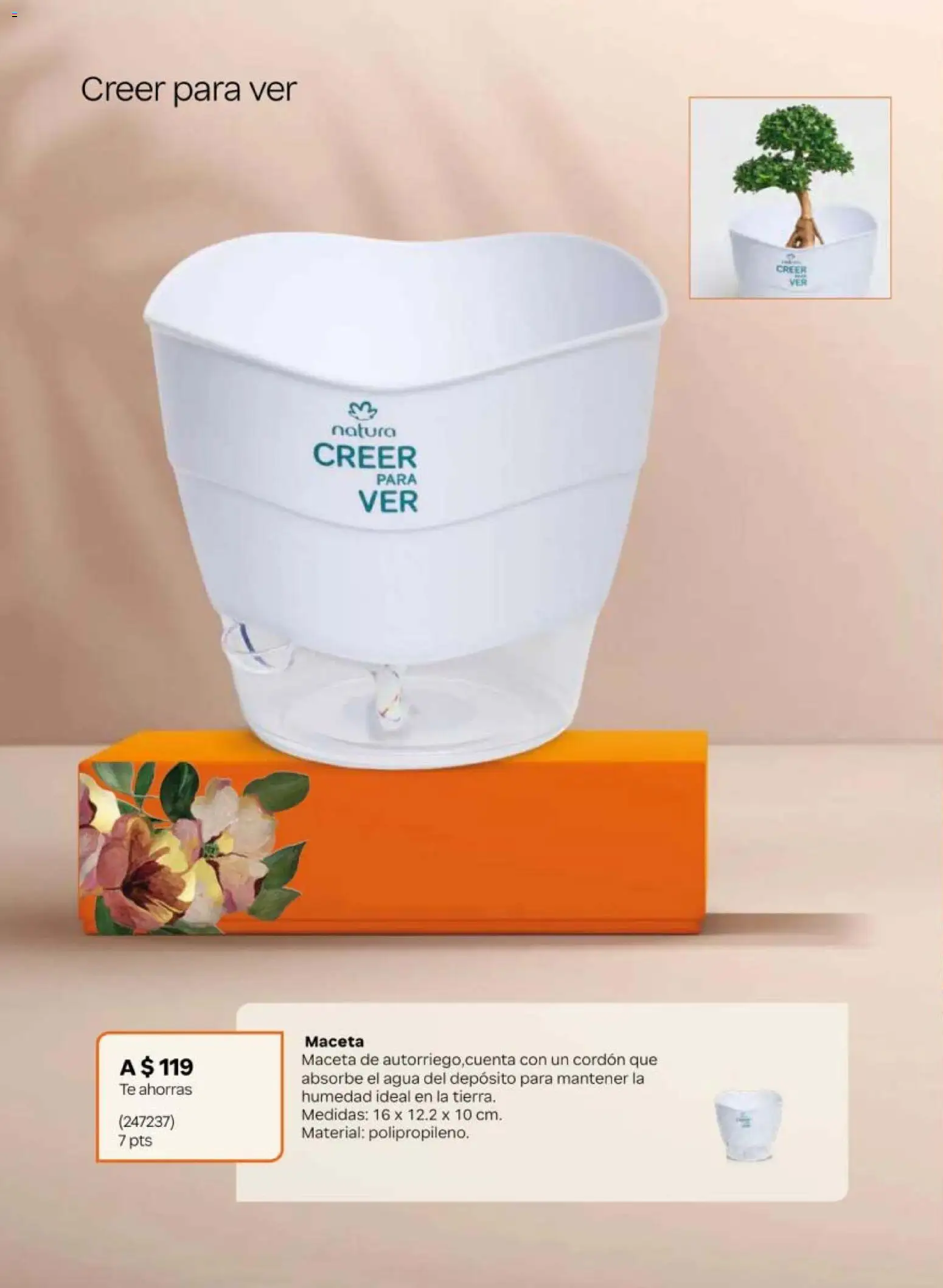 Nuevas ofertas de Natura válidas en toda la República Mexicana desde el 24.04.2026. ¡Encuentra las mejores ofertas en Natura campaña 7 2026! | Página: 22 | Productos: Agua, Té, Maceta