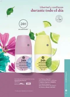 Vista previa de Yves Rocher campaña 5 2026, nuevo folleto de la tienda, válido en México a partir del 24.03.2026 | Página: 81 | Productos: Desodorante, Algodón, Ropa
