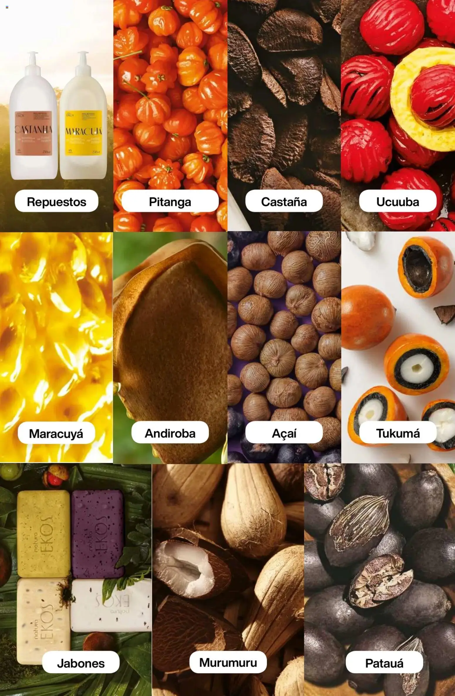 Catálogo Natura Ciclo 1/2026 │ válido desde el 06.01.2026 | Página: 189