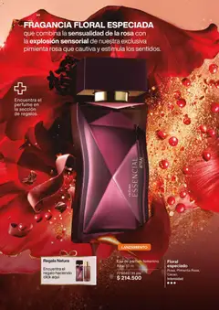 Natura - Catálogo Natura C02/2026 -  Vista previa de la revista de la tienda Natura valido desde el 01.02.2026 | Página: 52