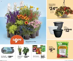 Fred Meyer Home & Apparel - valid from 30.07.2025 | Page: 8