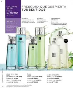 Vista previa de folleto L'Bel - Campaña 16 de la L'Bel válido desde 03.10.2025 | Página: 24 | Productos: EAU de Toilette