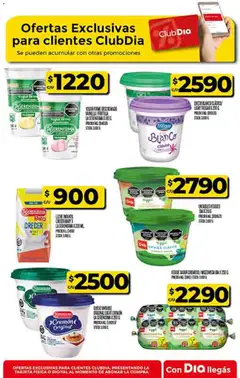 Vista previa Supermercado DIA Ofertas válido desde el 22.10.2025 | Página: 43