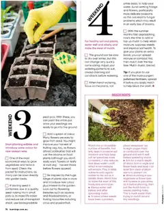 Bunnings Warehouse catalogue - valid from 01.09.2025 | Page: 74 | Products: Flower bed, Pot, Compost, Bed