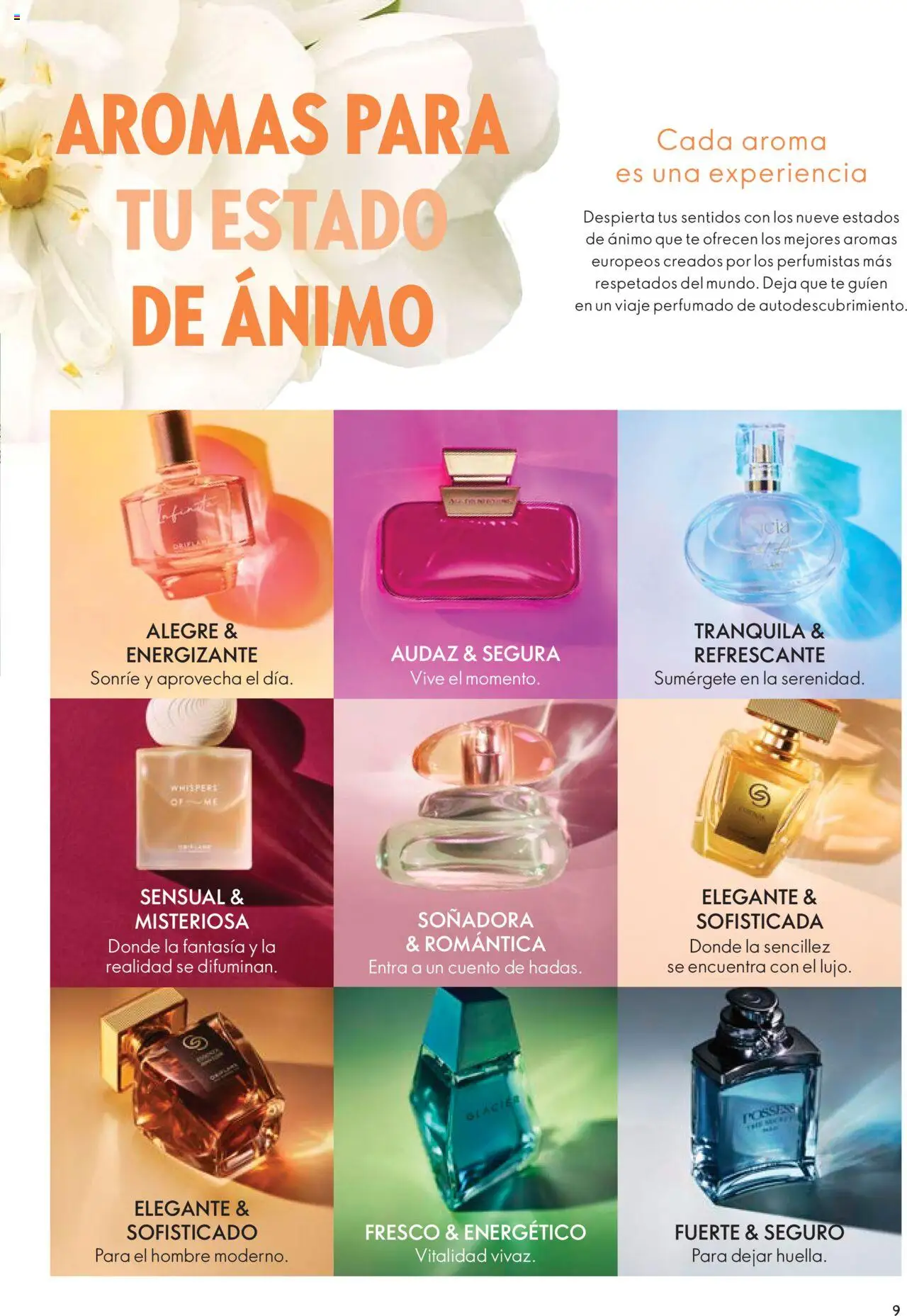 Oriflame - Catálogo │ válido desde el 13.09.2025 | Página: 9 | Productos: Té