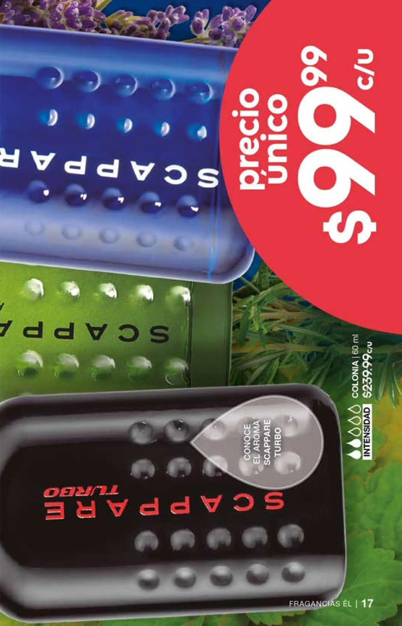 Nuevas ofertas de Fuller válidas en toda la República Mexicana desde el 29.04.2026. ¡Encuentra las mejores ofertas en Fuller campaña 2 2026! | Página: 17