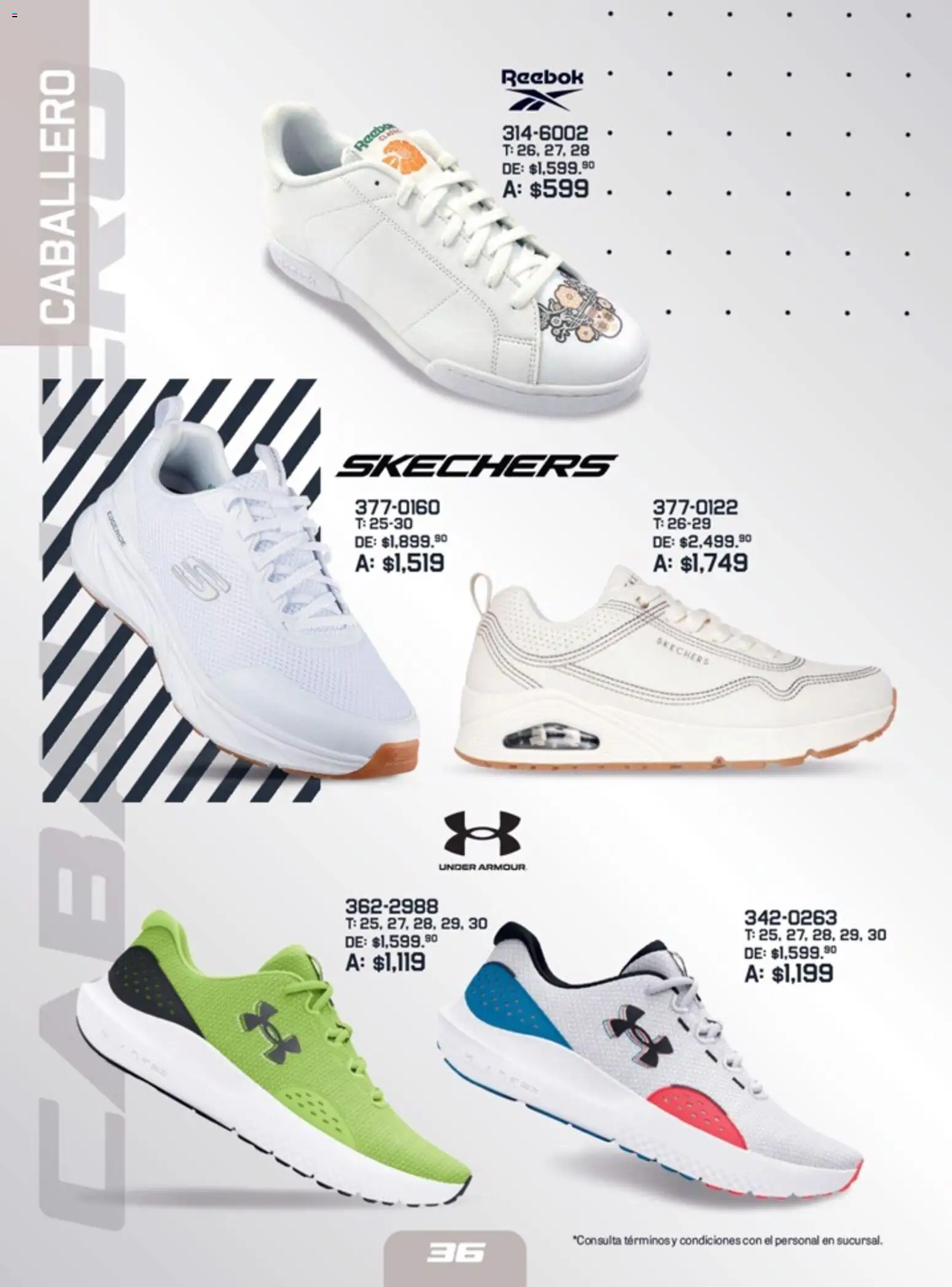 Nuevas ofertas de Andrea válidas en toda la República Mexicana desde el 23.11.2025. ¡Encuentra las mejores ofertas en Andrea catálogo Active Zone! | Página: 36