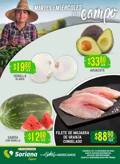 Vista previa de Soriana Martes y Miércoles del Campo Súper: BCS, Son y Sin, nuevo folleto de la tienda, válido en México a partir del 10.03.2026