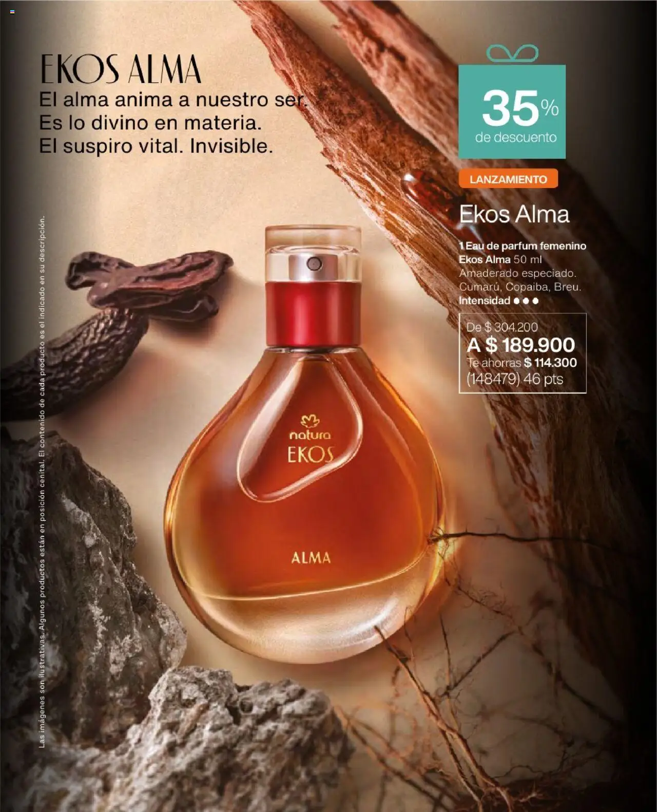 Natura revista - valida desde el 23.07.2025 | Página: 47 | Productos: Té