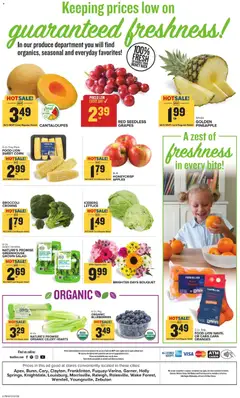 Preview of Food Lion weekly ads valid from 07.01.2026 | Page: 13