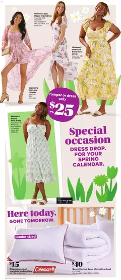 Preview of Coleman comfort complete jumbo pillow, 20" x 28" from shop Giant Tiger valid from 11.03.2026 | Page: 4