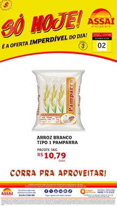 Encarte Assaí Atacadista - TO - Pré-Visualização do folheto da loja Assaí Atacadista, válido de 02.02.2026
