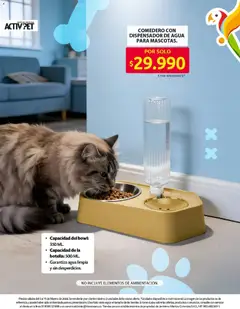 Ara - Catálogo -  Vista previa de la revista de la tienda Ara valido desde el 05.02.2026 | Página: 3 | Productos: Agua, Botella, Sobre, Dispensador