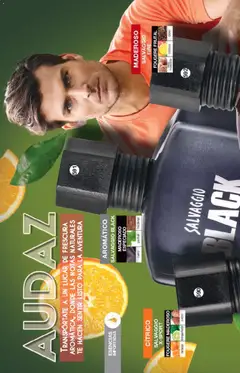 Vista previa de Fuller campaña 22 2026, nuevo folleto de la tienda, válido en México a partir del 04.02.2026 | Página: 210