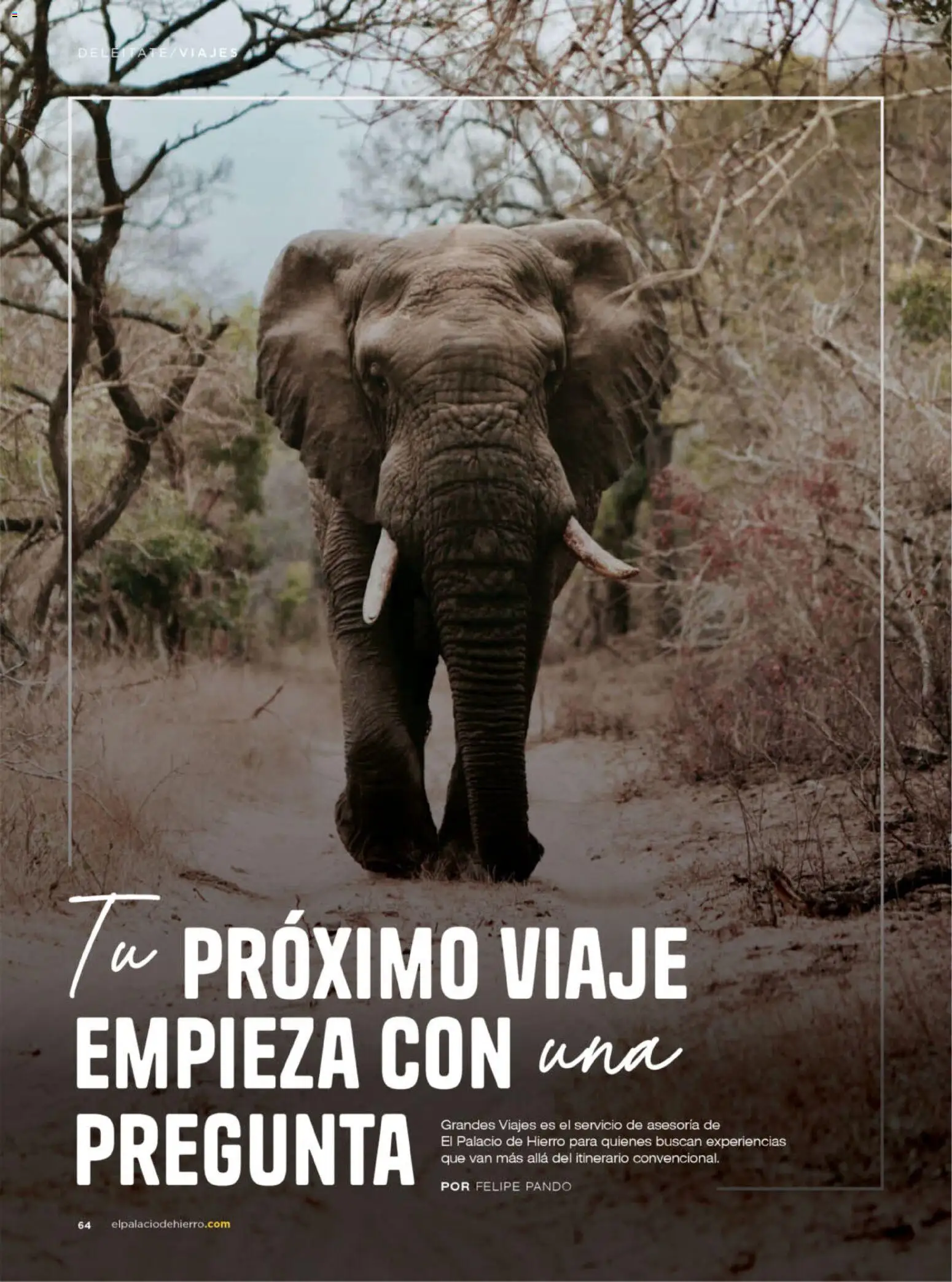 Nuevas ofertas de Palacio De Hierro válidas en toda la República Mexicana desde el 01.04.2026. ¡Encuentra las mejores ofertas en Palacio De Hierro catálogo! | Página: 66