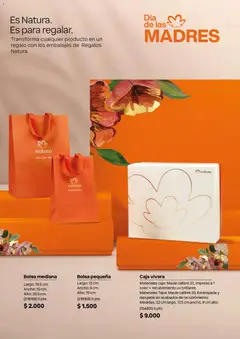 Natura catálogo -  Vista previa de la revista de la tienda Natura valido desde el 01.04.2026 | Página: 46