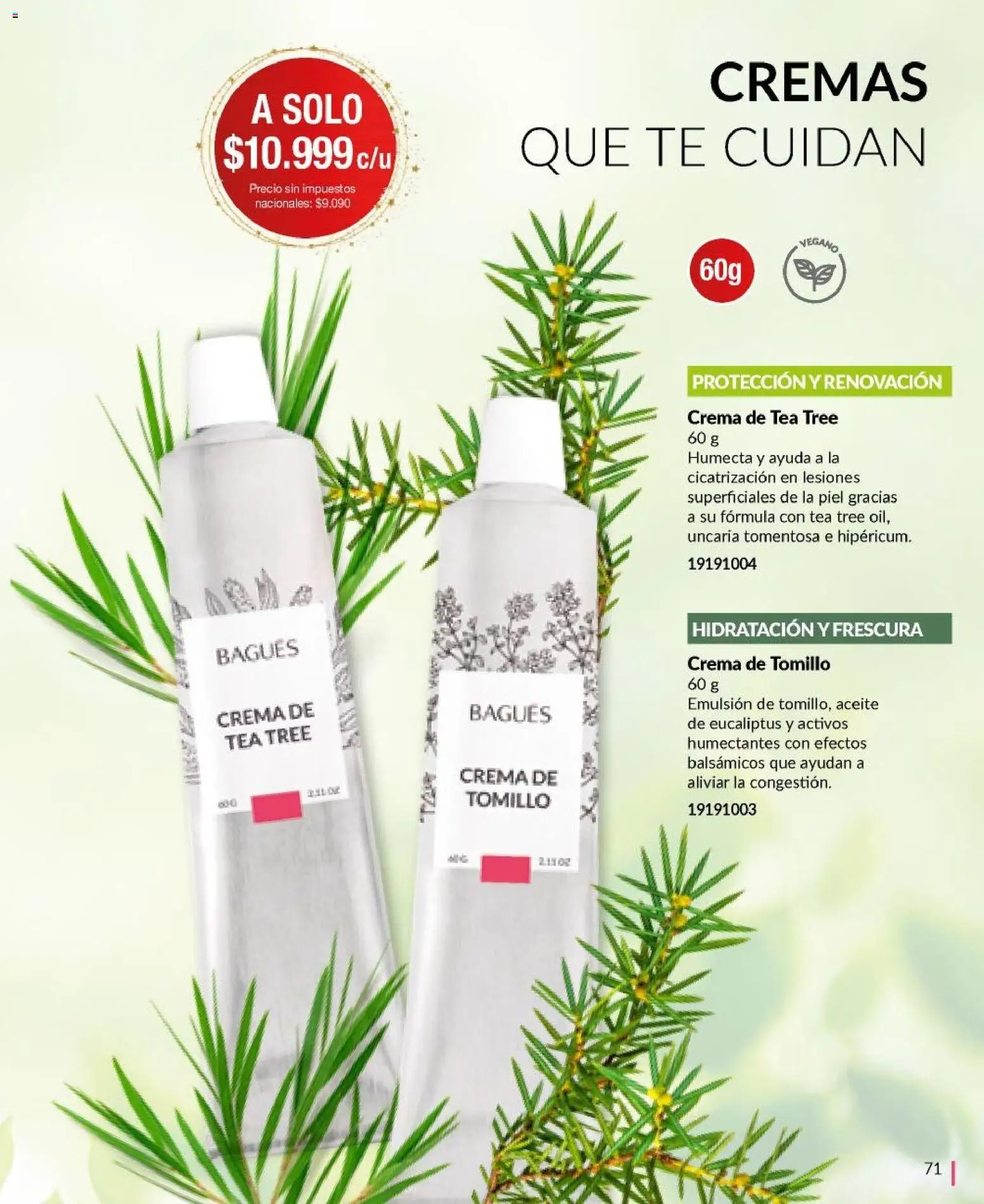 Bagués - Catálogo │ válido desde el 17.11.2025 | Página: 71 | Productos: Aceite, Emulsión, Té, Crema