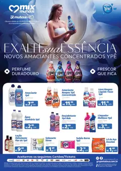 Mateus - Festival Ype - Pré-Visualização do folheto da loja Mateus, válido de 05.02.2026