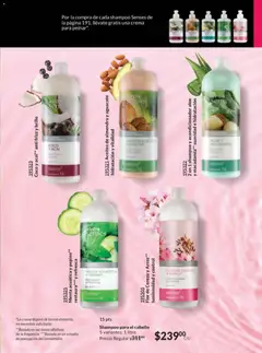 Vista previa de Coco y acai** anti frizz y brillo, Shampoo para cabello Coco y acai anti frizz y brillo, nuevo folleto de la tienda, válido en México a partir del 10.01.2026 | Página: 183 | Productos: Crema, Aguacate, Arroz, Almendra