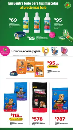 Vista previa de Bodega Aurrerá folleto Encuentra todo para tus mascotas, nuevo folleto de la tienda, válido en México a partir del 01.01.2026