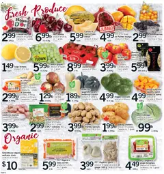 Preview of Fortinos - Brampton from shop Fortinos valid from 18.12.2025 | Page: 7 | Products: Potatoes, Bag, Apples, Tomatoes
