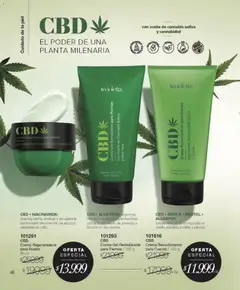 Vista previa Violetta - Violetta Cosméticos válido desde el 09.03.2026 | Página: 353