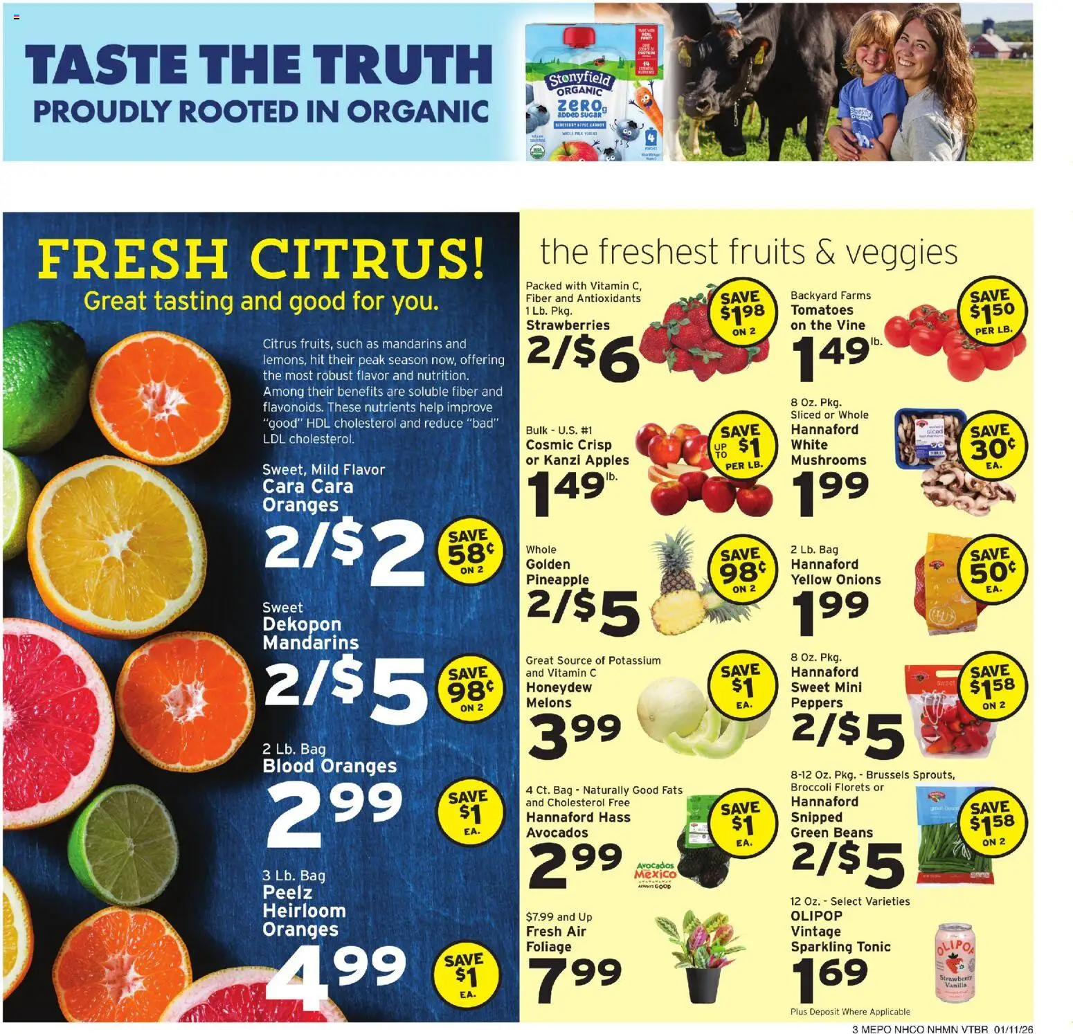 Hannaford Weekly Ad - valid from 11.01.2026 | Page: 3 | Products: Mandarins, Apples, Oranges, Bag