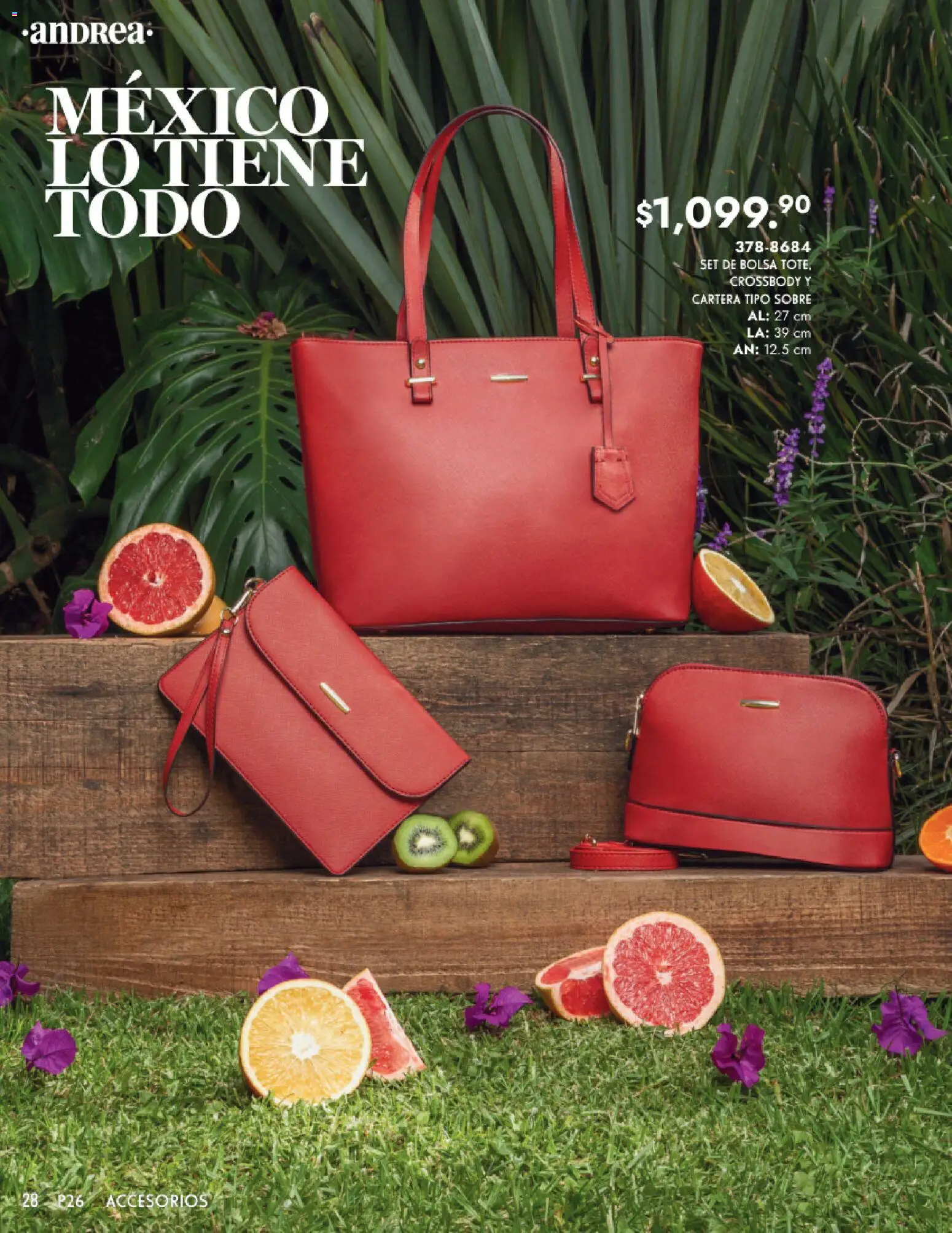 Nuevas ofertas de Andrea válidas en toda la República Mexicana desde el 25.01.2026. ¡Encuentra las mejores ofertas en Andrea catálogo Primavera! | Página: 28 | Productos: Bolsa, Sobre