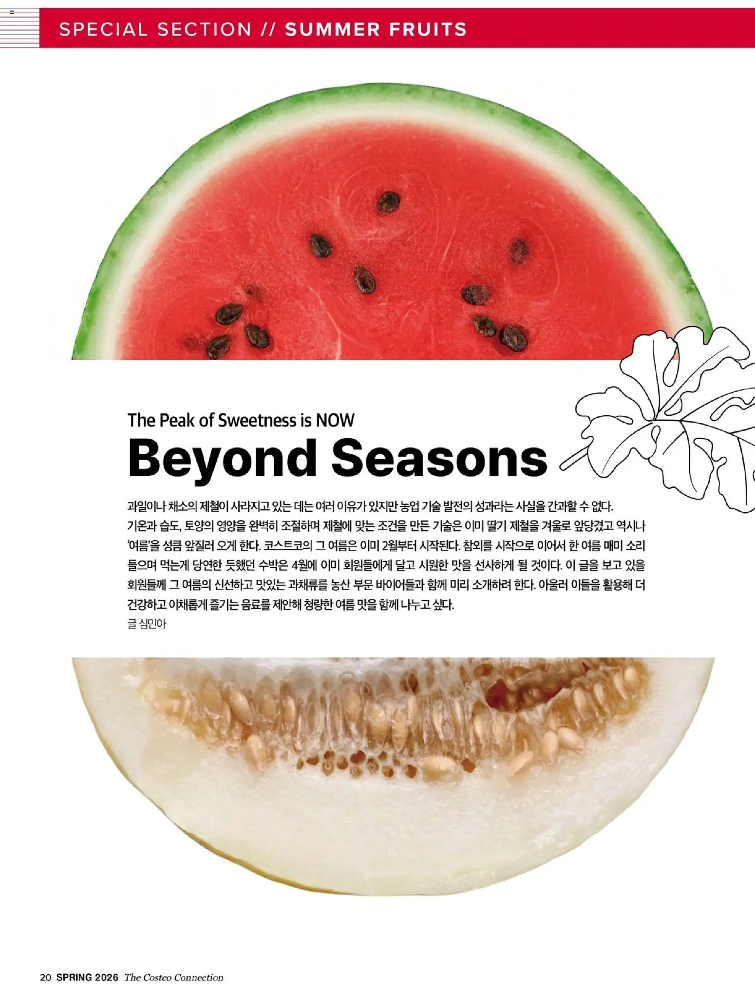  | 페이지: 22 | 상품: 딸기