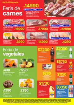 Vista previa Vea ofertas válido desde el 13.03.2026 | Página: 3 | Productos: Desinfectante, Lavandina, Manzana, Piña