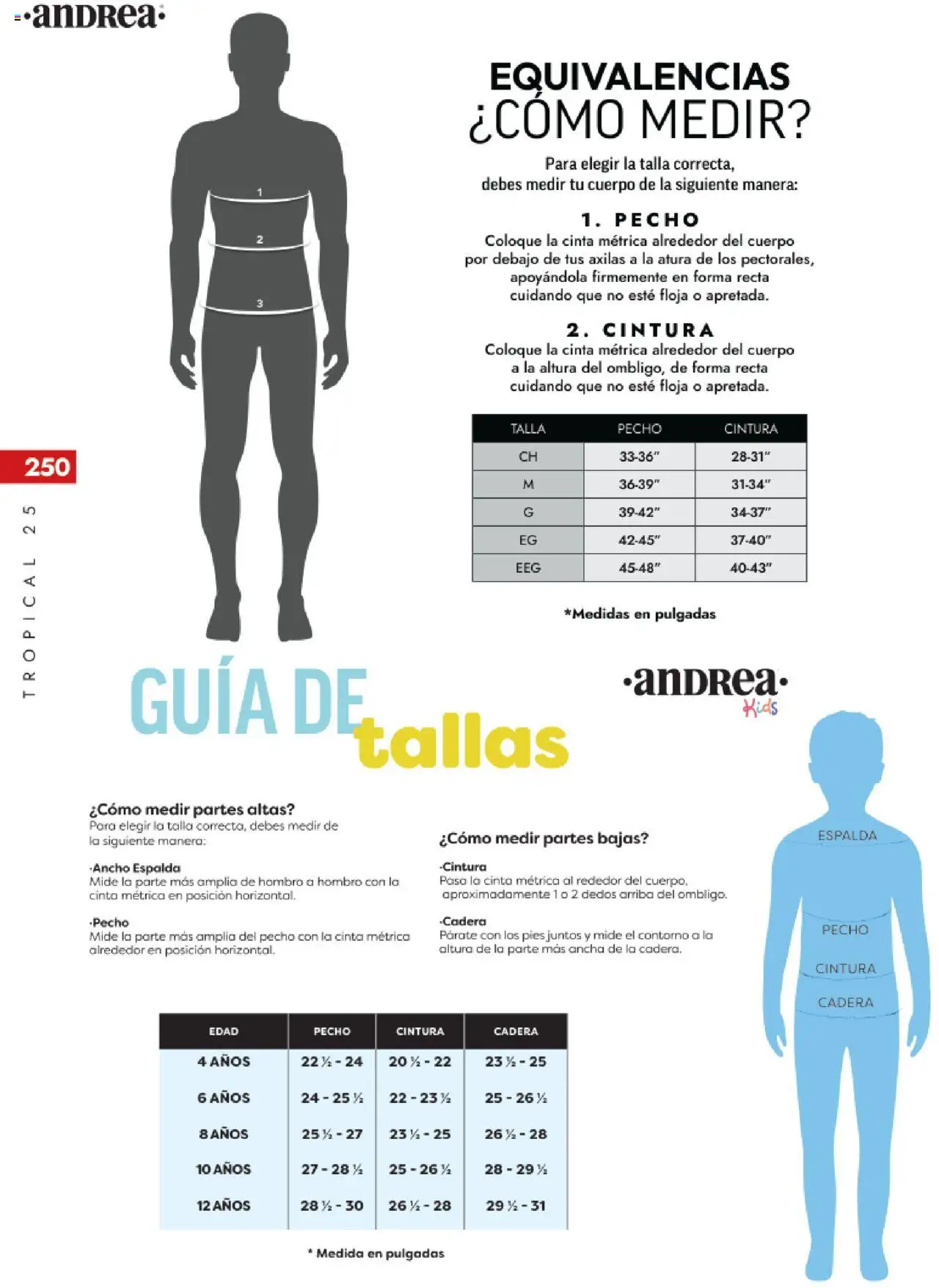 Nuevas ofertas de Andrea válidas en toda la República Mexicana desde el 17.08.2025. ¡Encuentra las mejores ofertas en Andrea - Catálogo Tropical Otoño / Invierno! | Página: 250 | Productos: Contorno, Cinta, Cinta métrica